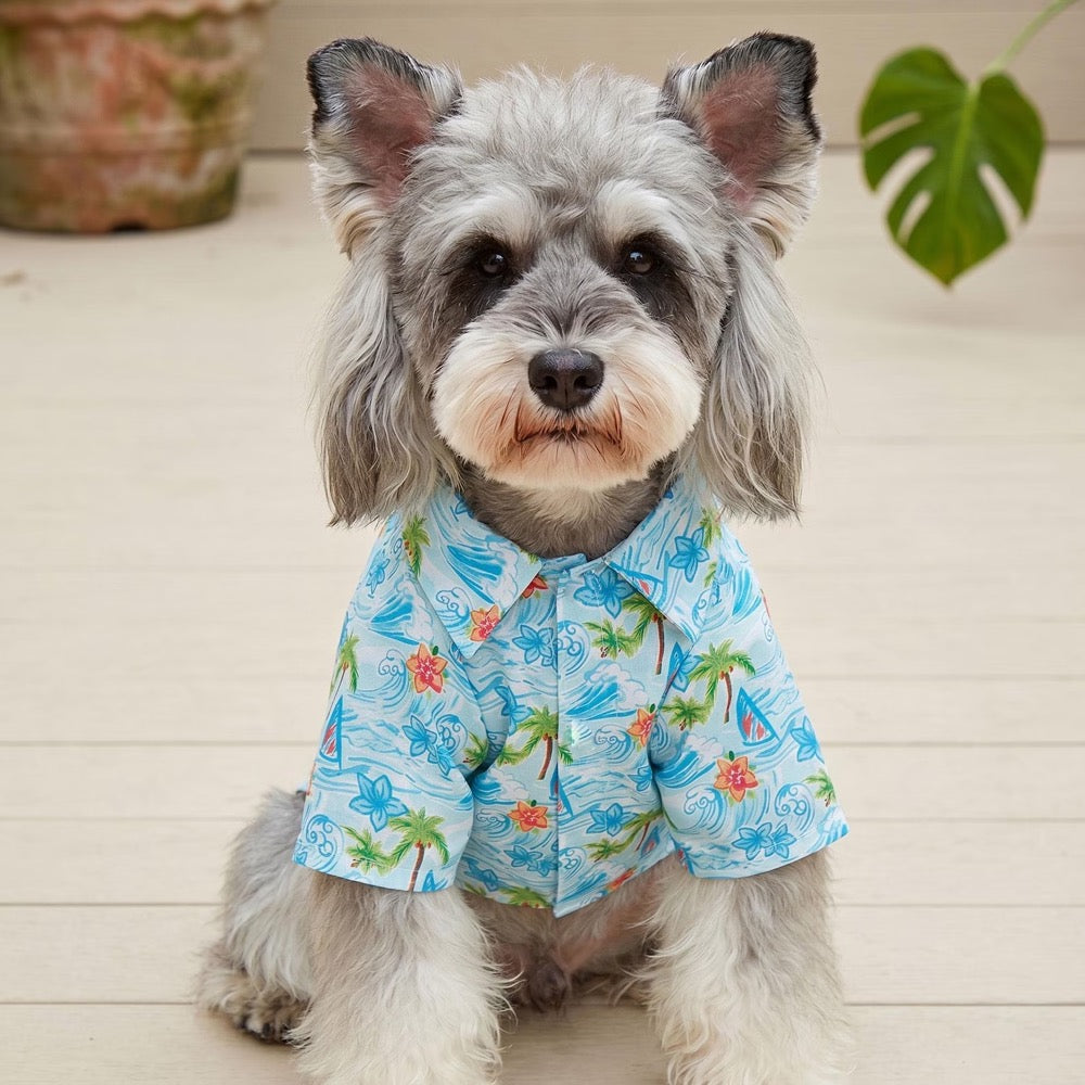 Tropical Beach Dog Shirt, Blue Summer Pet Outfit, Palm Tree Hawaiian Shirt, Cute Cat Dog Clothes Vacation Style Pet Apparel