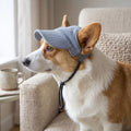 Cute Dog Cap, Small Dog Accessories, Corduroy Pet Outdoor Sunscreen Cap, Dog Casual Sunshade Cap, Cat/Dog Cool Fashion Hat