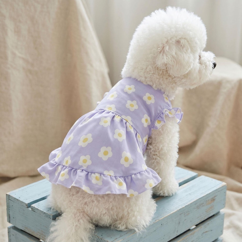 Purple Floral Dog Dress for Small Pets, Cute Ruffle Pet Dress Summer Outfit, Floral Print Pet Dress With Ruffle Sleeves And Button Front